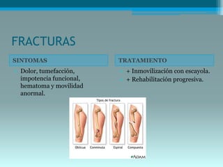 FRACTURAS
SINTOMAS TRATAMIENTO
• Dolor, tumefacción,
impotencia funcional,
hematoma y movilidad
anormal.
• + Inmovilización con escayola.
• + Rehabilitación progresiva.
 