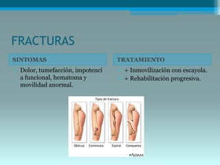 FRACTURAS
SINTOMAS TRATAMIENTO
• Dolor, tumefacción, impotenci
a funcional, hematoma y
movilidad anormal.
• + Inmovilización con escayola.
• + Rehabilitación progresiva.
 