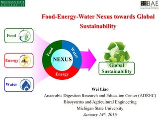 Food-Energy-Water Nexus towards Global
Sustainability
Wei Liao
Anaerobic Digestion Research and Education Center (ADREC)
Biosystems and Agricultural Engineering
Michigan State University
January 14th, 2016
Food
NEXUS
WaterEnergy
Global
Sustainability
Food
Energy
Water
 