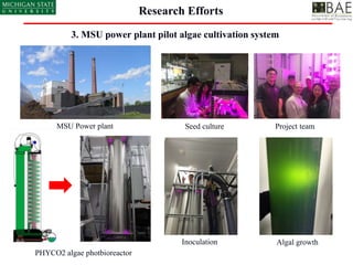 Research Efforts
Inoculation
PHYCO2 algae photbioreactor
MSU Power plant Seed culture Project team
Algal growth
3. MSU pow...