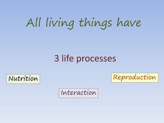 All living things have 
3 life processes 
Nutrition 
Interaction 
Reproduction 
 