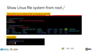 Show Linux file system from root /
Clear screen
Check where you are (impact all the commands you entered)
cd, cls
 