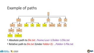 Example of paths
• Absolute path to file.txt: /home/user-1/folder-1/file.txt
• Relative path to file.txt (Under folder-2): ../folder-1/file.txt
 