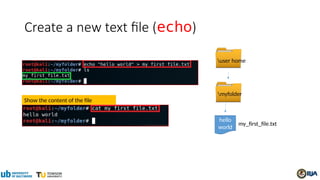Create a new text file (echo)
hello
world
my_first_file.txt
myfolder
user home
Show the content of the file
 
