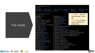 File inode
• -i, --inode print the
index number of each
file
• -a, --all do not ignore
entries starting with .
(hidden file)
dir
 