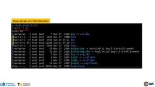 Show details of a file/directory
 