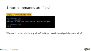 Linux commands are files!
Why can ls be executed in any folder? => Need to understand path (see next slide)
Display ls command under /bin
 