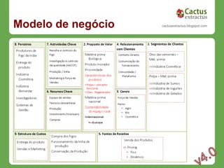 Modelo de negócio   cactusextractus.blogspot.com
 