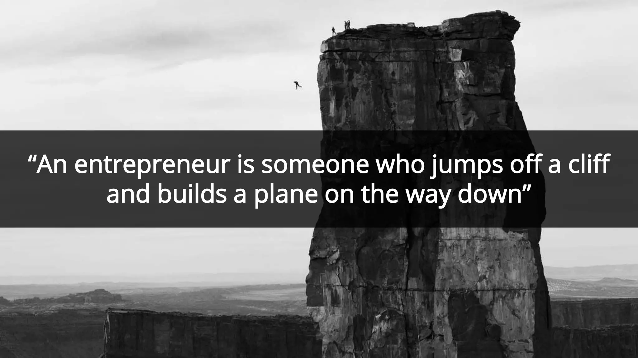 “An entrepreneur is someone who jumps off a cliff
and builds a plane on the way down”