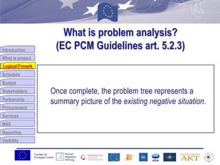 Funded by
European Union
Introduction
What is project
Logical Frmwrk
Schedule
Budget
Stakeholders
Partnership
Procurement
Services
M&E
Reporting
Visibility
What is problem analysis?
(EC PCM Guidelines art. 5.2.3)
Once complete, the problem tree represents a
summary picture of the existing negative situation.
Logical Frmwrk
 