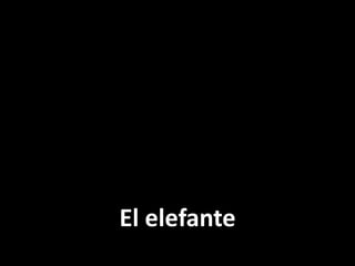 El elefante

 