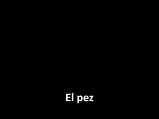 El pez

 