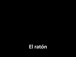 El ratón

 