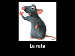 La rata

 