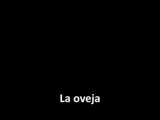 La oveja

 