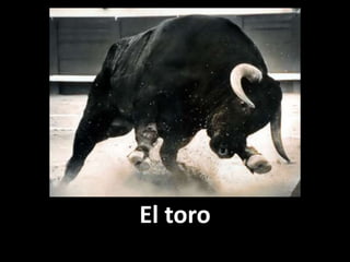El toro

 