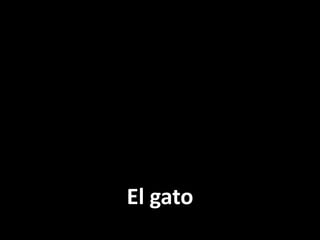 El gato

 