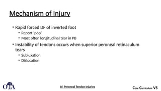 3 Lower Extremity Foot and Ankle Ligamentous Tendon Injuries about the ...