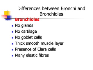 Differences between Bronchi and
Bronchioles
Bronchioles
 No glands
 No cartilage
 No goblet cells
 Thick smooth muscle layer
 Presence of Clara cells
 Many elastic fibres
 