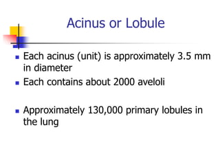 Acinus or Lobule
 Each acinus (unit) is approximately 3.5 mm
in diameter
 Each contains about 2000 aveloli
 Approximately 130,000 primary lobules in
the lung
 