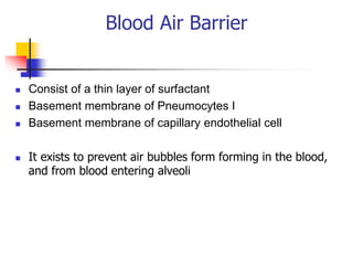 Blood Air Barrier
 Consist of a thin layer of surfactant
 Basement membrane of Pneumocytes I
 Basement membrane of capillary endothelial cell
 It exists to prevent air bubbles form forming in the blood,
and from blood entering alveoli
 