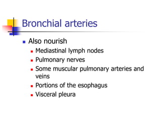 Bronchial arteries
 Also nourish
 Mediastinal lymph nodes
 Pulmonary nerves
 Some muscular pulmonary arteries and
veins
 Portions of the esophagus
 Visceral pleura
 