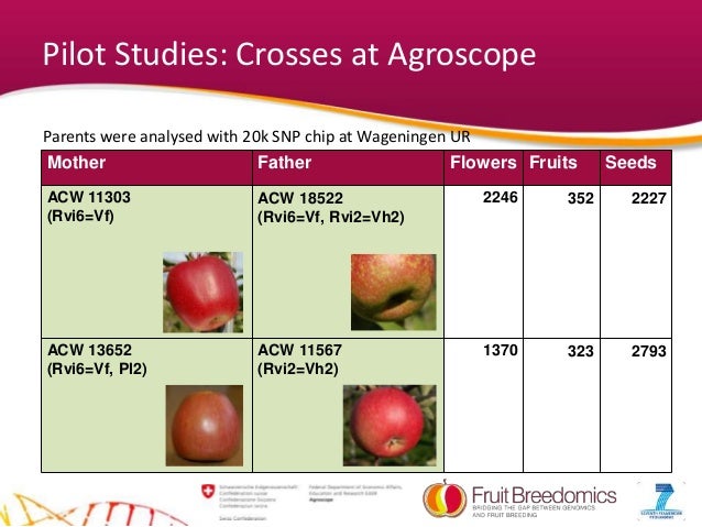 wageningen single parents Potato pedigree database of wageningen ur plant breeding cultivar parent view details » germplasm information no single cultivar found results table. wageningen single parents Potato pedigree database of wageningen ur plant breeding cultivar parent view details » germplasm information no single cultivar found results table.