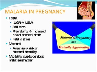 MALARIA IN PREGNANCY Foetal IUGR    LBW Still birth Prematurity    increased risk of neonatal death Fetal distress Maternal Anaemia    risk of maternal mortality Mortality due to cerebral malaria is higher 