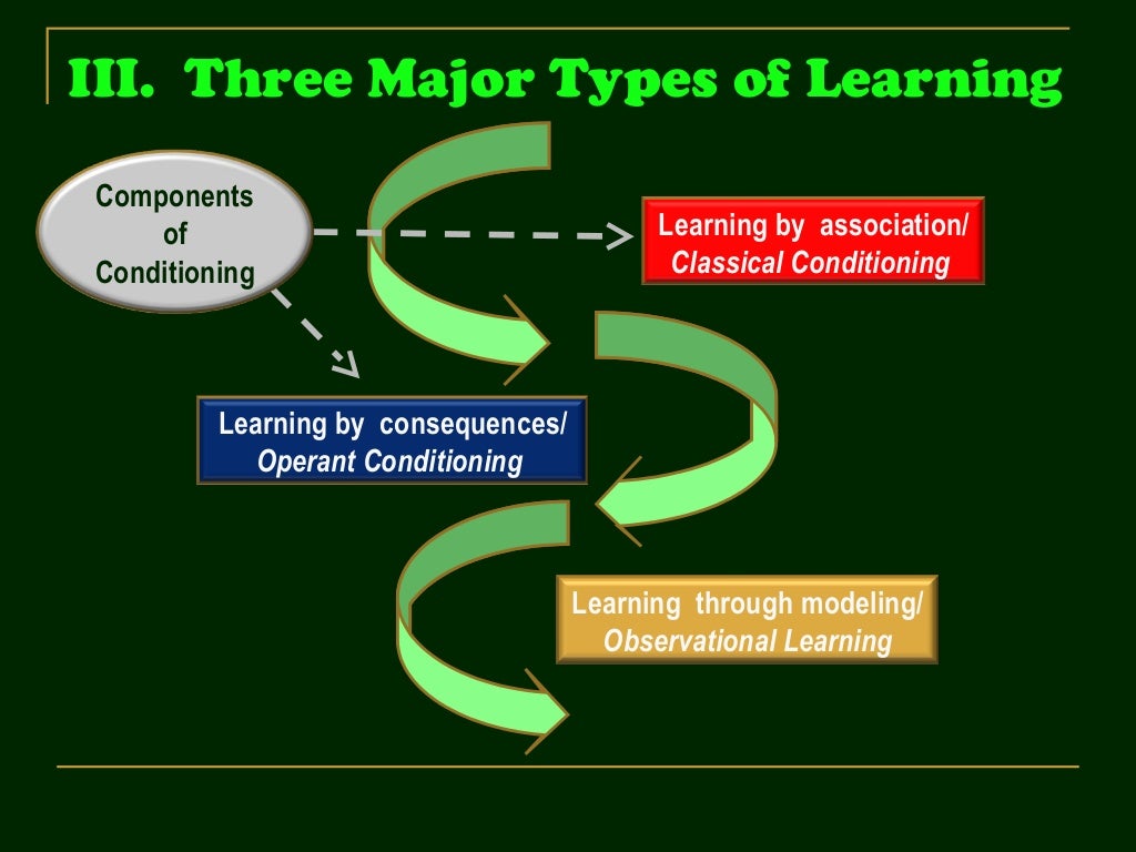 B. F. Skinner's Operant Conditioning
