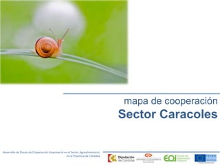 Desarrollo de Planes de Cooperación Empresarial en el Sector Agroalimentario 
en la Provincia de Córdoba 
mapa de cooperación 
Sector Caracoles 
 