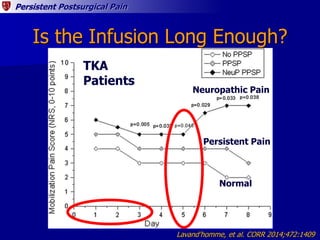 Persistent Postsurgical Pain
Is the Infusion Long Enough?
Lavand’homme, et al. CORR 2014;472:1409
TKA
Patients
Normal
Pers...