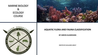 MARINE BIOLOGY
&
ECOLOGY
COURSE
AQUATIC FLORA AND FAUNA CLASSIFICATION
BY GREEN GUARDIANS
DRAFTED BY GUILLAUME LEBOUT
 
