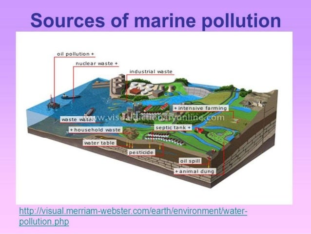 Causes and sources of marine pollution