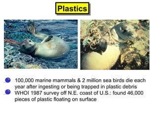 • 100,000 marine mammals & 2 million sea birds die each
year after ingesting or being trapped in plastic debris
• WHOI 1987 survey off N.E. coast of U.S.: found 46,000
pieces of plastic floating on surface
PlasticsPlastics
 