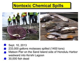 Nontoxic Chemical SpillsNontoxic Chemical Spills
• Sept. 10, 2013
• 233,000 gallons molasses spilled (1400 tons)
• Matson Pier on the Sand Island side of Honolulu Harbor
westward into Ke’ehi Lagoon
• 30,000 fish dead
 