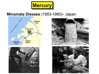 Minamata Disease (1953-1960)– Japan
MercuryMercury
 