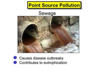 Sewage
• Causes disease outbreaks
• Contributes to eutrophication
Point Source PollutionPoint Source Pollution
 