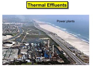 Thermal EffluentsThermal Effluents
Power plants
 