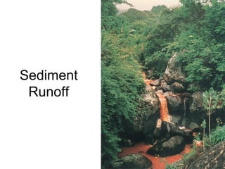 Sediment
Runoff
 
