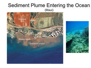 Sediment Plume Entering the Ocean
(Maui)
 