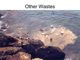 Other Wastes
 