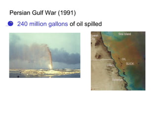 Persian Gulf War (1991)
• 240 million gallons of oil spilled
 