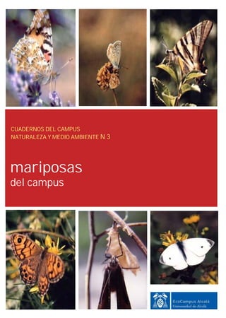 CUADERNOS DEL CAMPUS
NATURALEZA Y MEDIO AMBIENTE N 3




mariposas
del campus
 