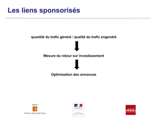 quantité du trafic généré  /   qualité du trafic engendré Mesure du retour sur investissement Optimisation des annonces Les liens sponsorisés 