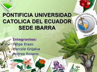 PONTIFICIA UNIVERSIDAD CATOLICA DEL ECUADORSEDE IBARRA Integrantes: Felipe Erazo Marcela Grijalva Andrea Rosario 