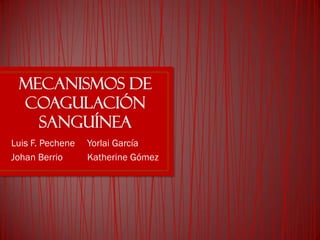 Mecanismos de
 coagulación
   sanguínea
Luis F. Pechene   Yorlai García
Johan Berrio      Katherine Gómez
 
