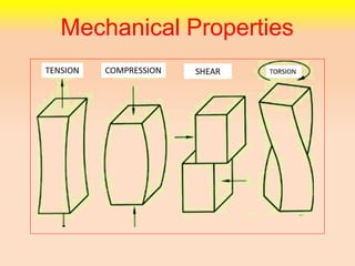 Mechanical Properties
 