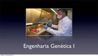 Engenharia Genética I
domingo, 10 de fevereiro de 13                           1
 