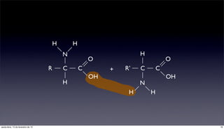 H       H
                                             N                         H
                                                         O                         O
                                     R       C       C        +   R’   C       C
                                                         OH                        OH
                                             H                         N
                                                                   H       H




sexta-feira, 15 de fevereiro de 13                                                      18
 