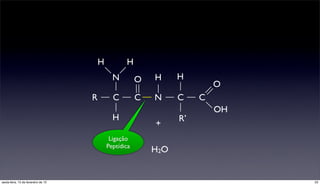 H          H
                                               N         O   H     H
                                                                            O
                                     R         C         C   N     C    C
                                                                            OH
                                               H                   R’
                                                             +
                                              Ligação
                                             Peptídica
                                                             H2O


sexta-feira, 15 de fevereiro de 13                                               23
 